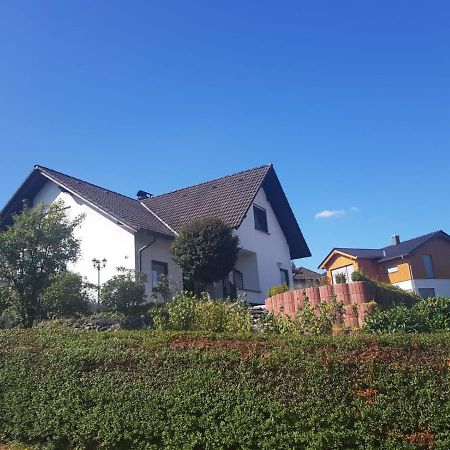 Gemuetliche Ferienwohnung Mit Kamin Und Sauna! Nistertal Extérieur photo