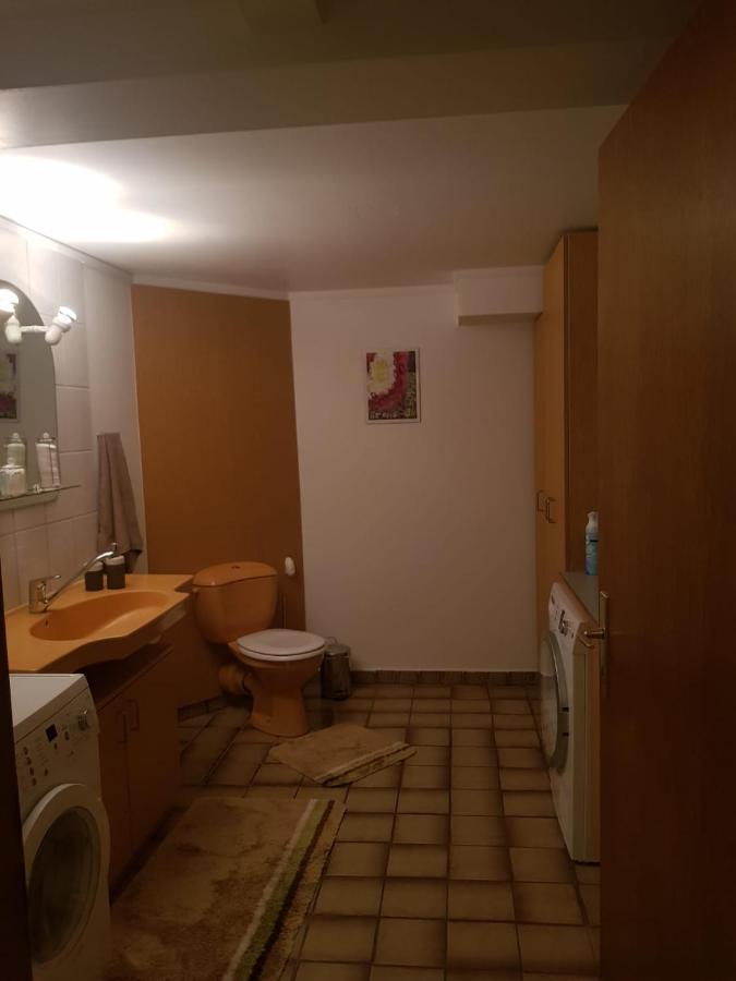Gemuetliche Ferienwohnung Mit Kamin Und Sauna! Nistertal Extérieur photo