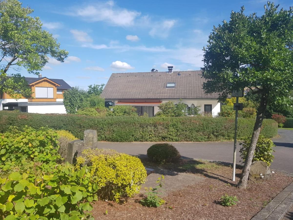 Gemuetliche Ferienwohnung Mit Kamin Und Sauna! Nistertal Extérieur photo