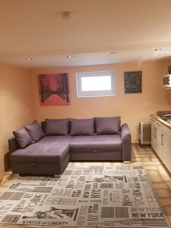 Gemuetliche Ferienwohnung Mit Kamin Und Sauna! Nistertal Extérieur photo