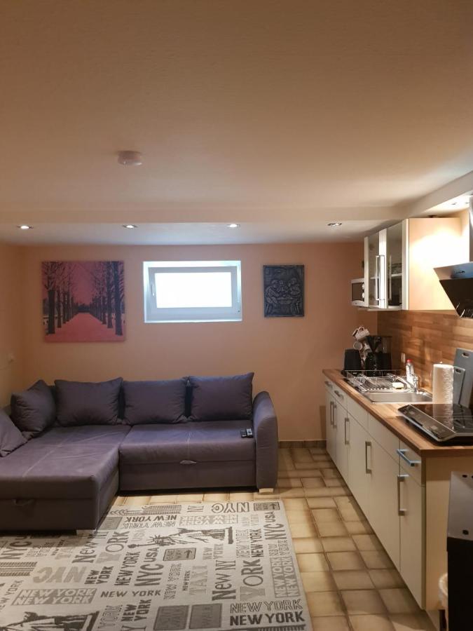 Gemuetliche Ferienwohnung Mit Kamin Und Sauna! Nistertal Extérieur photo